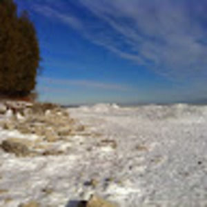 Meet your Posher, Kerry